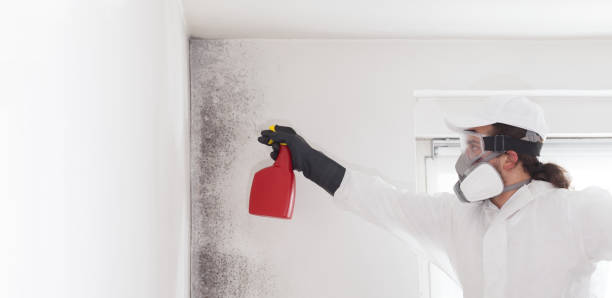 Park Hill, OK Mold Remediation Company